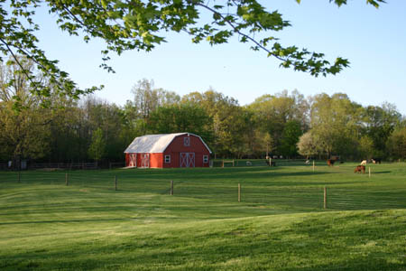 The barn in spring