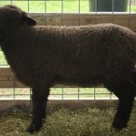 PFR 669