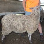 PFR 946 (click for more info) PFR 946