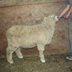 PFR 971 (click for more info) PFR 971