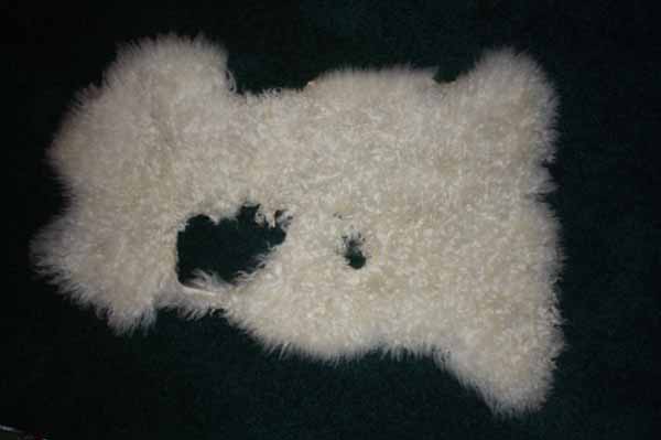 366-1 Teeswater lamb (craft pelt) 366-1 Teeswater lamb (craft pelt)