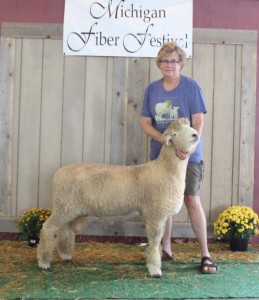 !011 was named Champion Romney Ram at the  August, 2018 Michigan Fiber Festival