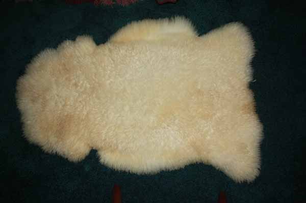 256 B Teeswater lamb 256 B Teeswater lamb