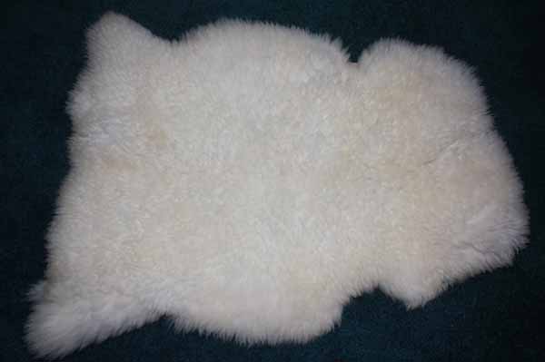 256 D Teeswater Lamb 256 D Teeswater Lamb