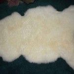 256 L Romney Lamb 256 L Romney Lamb