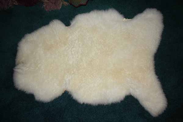 256 L Romney Lamb 256 L Romney Lamb