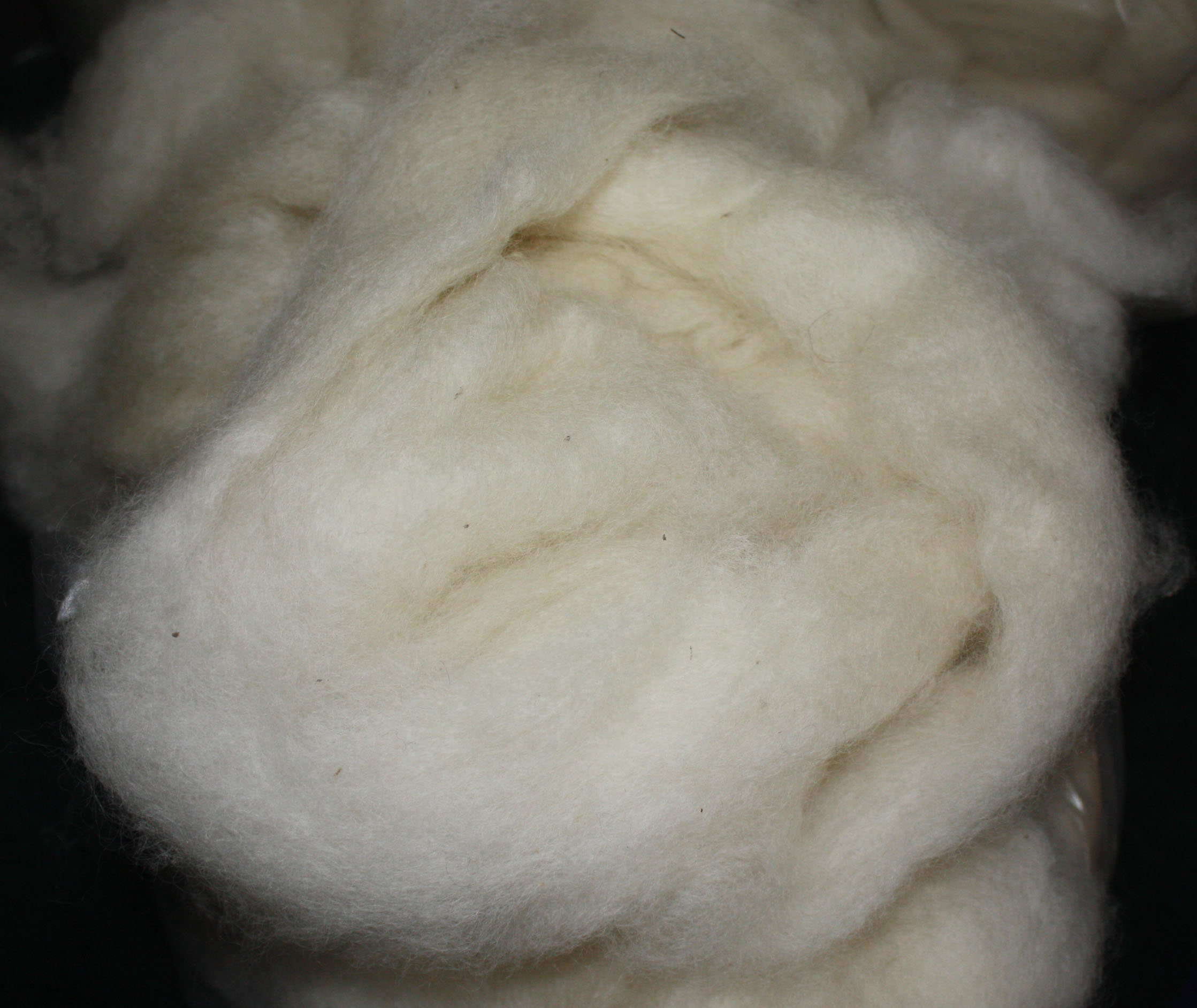 Wool Roving - 15. Irish Moss