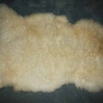 2451-C Romney Lamb 2451-C Romney Lamb