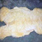 2451-G Romney Lamb 2451-G Romney Lamb