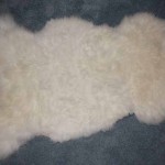 2451-I Romney Lamb 2451-I Romney Lamb