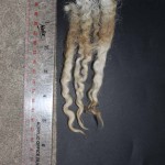 Pitchfork 981 - 20 Pitchfork 981 - 20