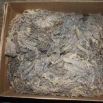 PFR 994 PFR 994