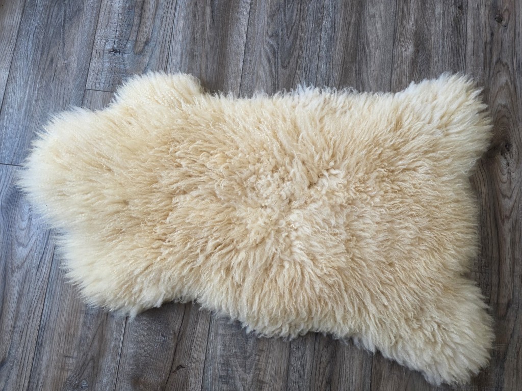 K2/ Teeswater X Romney