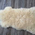 K2/ Teeswater X Romney